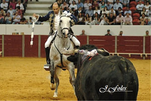 "No reino dos Bastinhas, os reis foram os Caetanos”