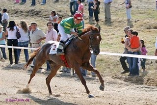 Trofa recebeu o galope