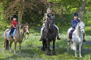 Queen's ride without hat raises safety issue