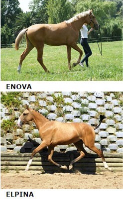 O Mercado responde à qualidade!