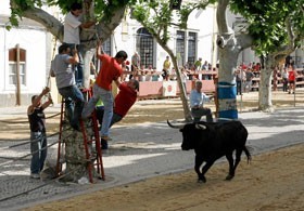 A Tradicional Feira de Maio da Moita