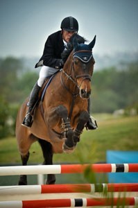 Tom Davin ganha o Grande Prémio na Ovibeja