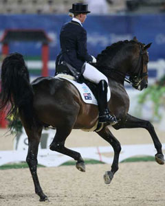 Relâmpago do Retiro sacrificado