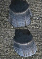 Curso de introdu&ccedil;&atilde;o ao &laquo;Barefoot&raquo;