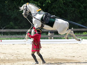 Sons of the Wind's Pride of Portugal Raises Over $5,800 for Breast Cancer Research