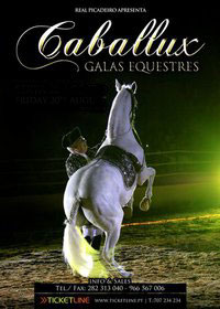 Caballux Equestrian Gala