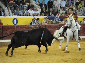 Marcelo Mendes brilhar&aacute; nas corridas de Nisa, Lourinh&atilde; e Bencantel