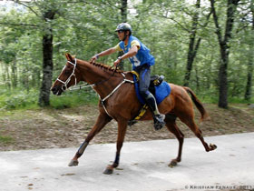 Pedro Godinho conquista o 2º lugar em Madrid