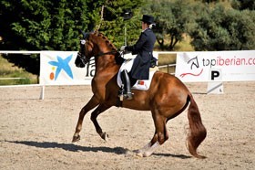 2 Portugueses inscritos no Cto. da Europa de Dressage 2011