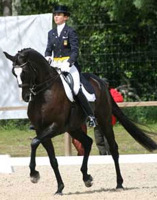 Cavaleiros espanhóis seleccionados para Aachen