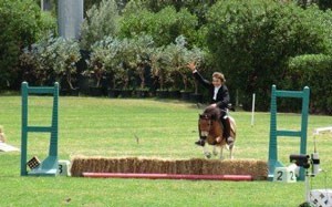 Grande Final do "Troféu Inter Escolas 2011"