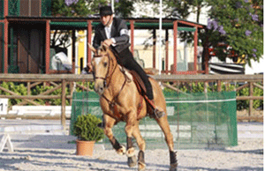 Equita&ccedil;&atilde;o de Trabalho prepara-se para o Mundial de Fran&ccedil;a