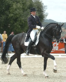 Equipa Espanhola seleccionada para Roterdão