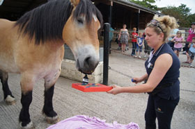 Seth turns his hoof to painting