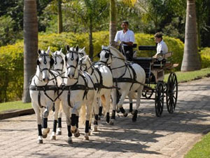 Passeio na Costa Vicentina 6 e 7 de Setembro