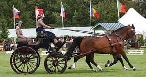 Carola Diener ganha no Ensino; António Simões em 23º