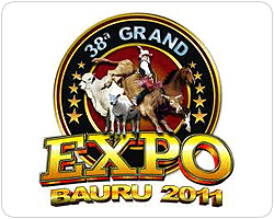 A 'Grande' Expo-Bauru na Tribuna VIP