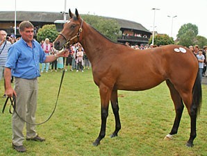 Sanjida arrematada por 1,7 milhões de euros...