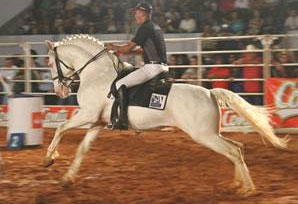 Lusitano apresenta saldo positivo na Expo Bauru 2011