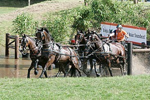 First European title for Ijsbrand Chardon