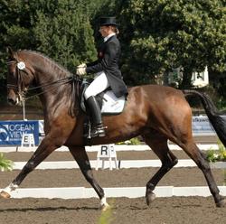 Dressage Horse Two Sox Retired