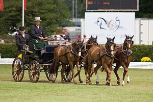 17 Nations to compete at the World Driving Championships in Lipica
