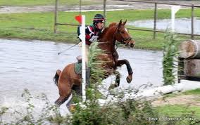 Fox-Pitt dominou em Blenheim: Francisco Seabra em 19º