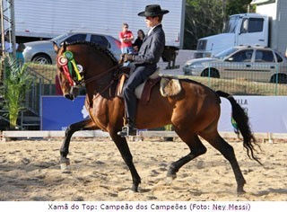 3º Festival do Cavalo Lusitano de Águas de Lindóia consagra Xamã do Top