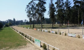 Hipódromo da Maia acolhe um Fim-de-Semana Equestre
