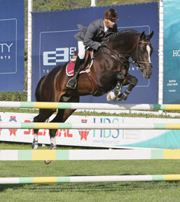 Zangersheide: FEI World Breeding Jumping Championships for Young Horses
