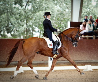 Quem são os Campeões Nacionais de Dressage 2011?