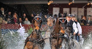 Eleventh season of the FEI World Cup Driving