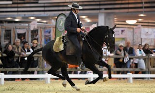 Portugal em Lyon a caminho do Tricampeonato Mundial