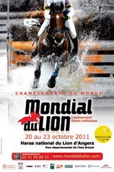 Irm&atilde;os Seabra no Mundial de Cavalos Novos de Lion d'Angers