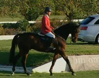 António Vozone ganha o Grande Prémio Turismo do Oeste