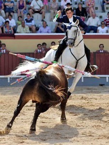 Morreu "Fant&aacute;stico"
