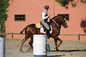 Equipa brasileira já está em França para o Mundial de Equitação de Trabalho