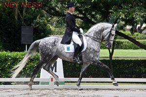 Contagem decrescente para a Dressage Brasileira - Jogos Pan-Americanos