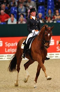 KWPN Dressage Horse - and Jumper Breeders: the Best in the World