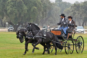 Saiba quem são os Campeões Nacionais de Atrelagem 2011