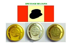 Dressage Beloura distingue os Melhores Cavaleiros em Arruda dos Vinhos