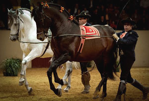 Cavaleiros de Saumur na REAAE para melhorar t&eacute;cnicas