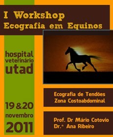 I Workshop de Ecografia em Equinos