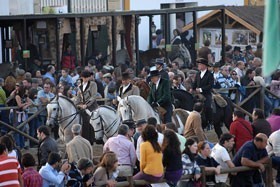 Golegã: National Horse Fair begins today