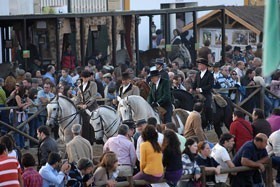 Goleg&atilde;: National Horse Fair begins today