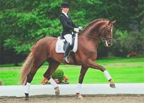 Leil&atilde;o de Cavalos de Desporto na Alemanha