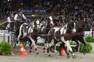 Koos de Ronde drives 4 clear rounds in Stuttgart