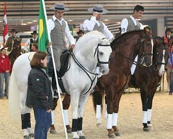 Brasil no Mundial de Equitação de Trabalho