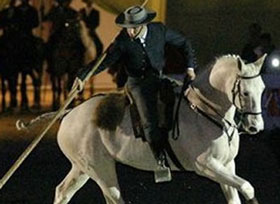 Equitação de Trabalho no Olympia International Horse Show em Londres