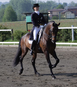 Ouro para Eva Rosenthal no Campeonato da Europa do Cavalo Ibérico